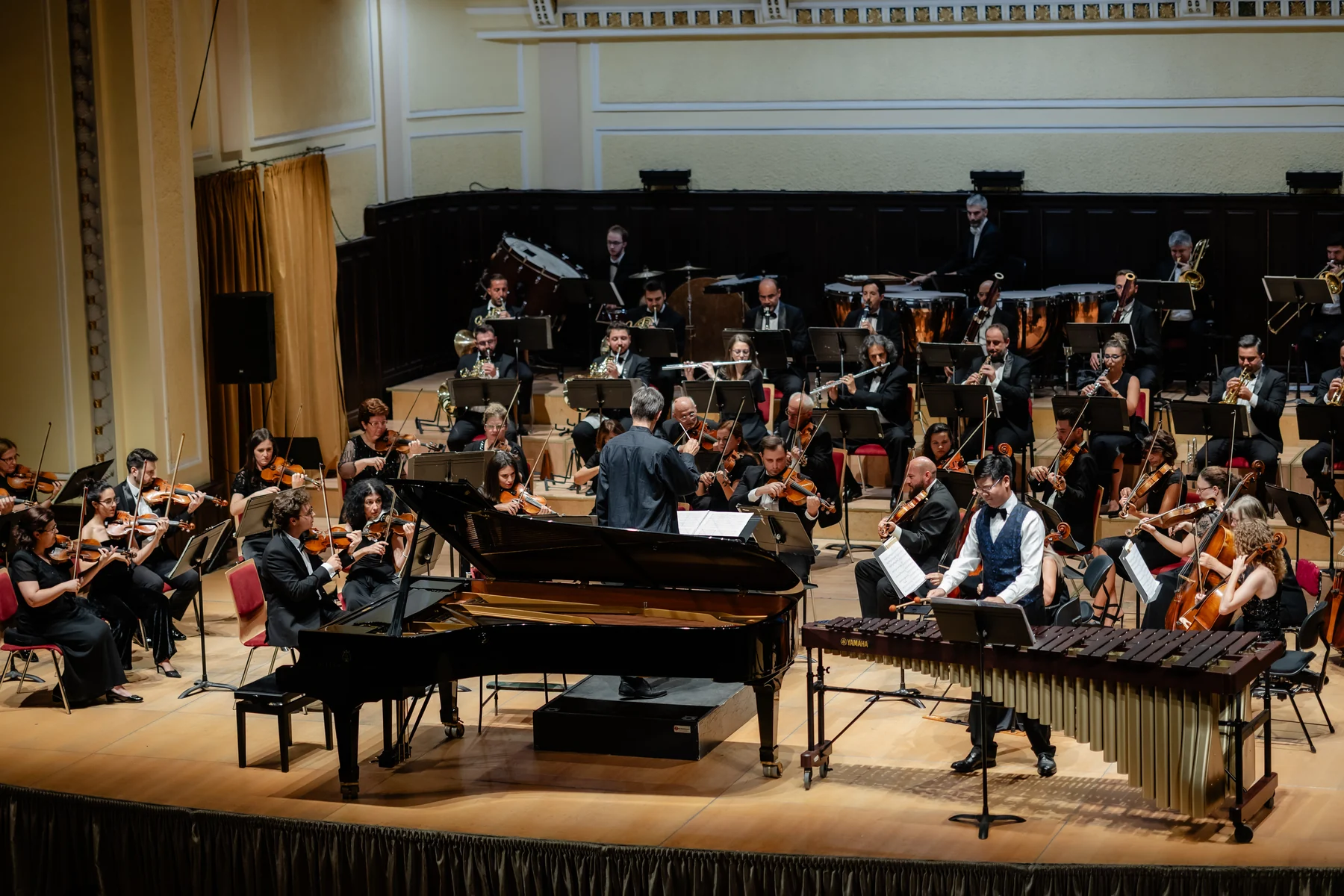 Marimba and orchestra in Arad, 11 August 2026.