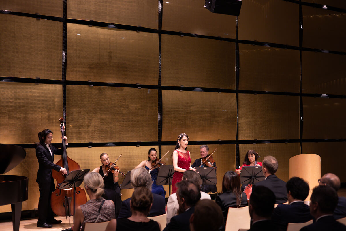 VIYAF chamber music salon